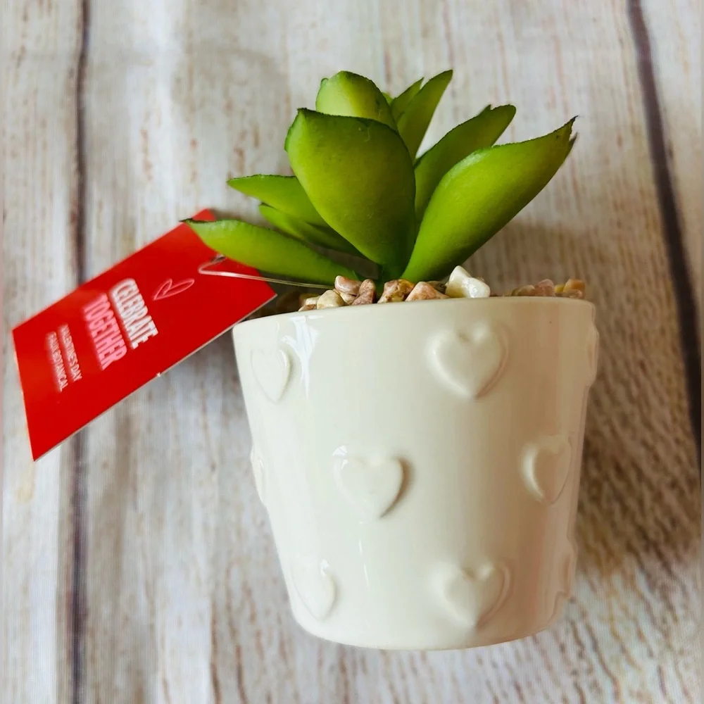 Celebrate Together Artificial Cactus Succulent Mini Plant Bundle 3pk NWT